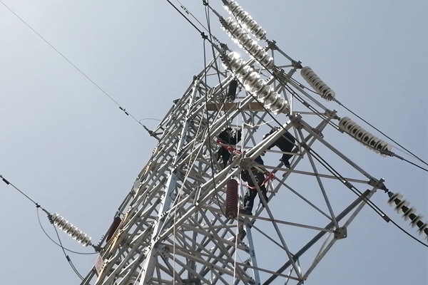 1650436643196902.jpg IMG_5278.JPG