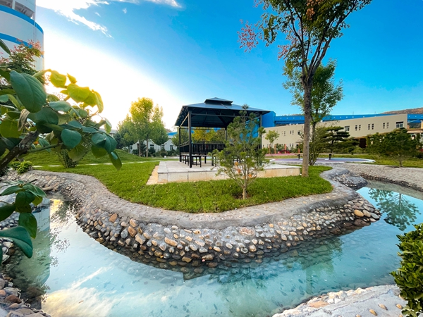 ��̬���� ��ɫ���� (���ߣ����  л��ΰ) (2).jpg