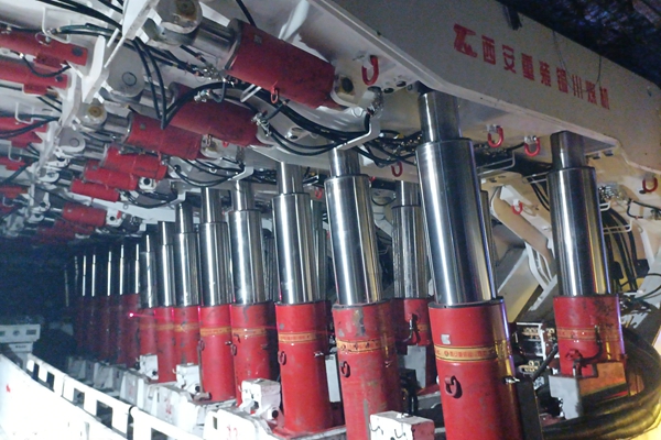 1689655785213557.jpg 9039f76b1f31adea81f872a3285f026_副本.jpg