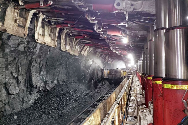 1700549328818512.jpg 1 307初采初放_副本.jpg