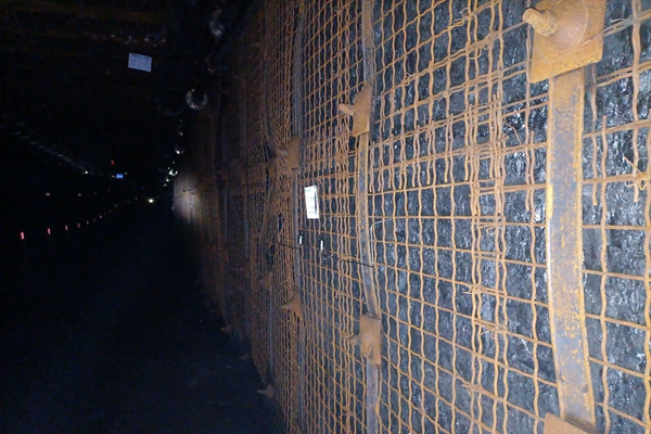 IMG_20220914_151958_.jpg